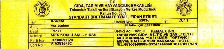 acıkkökteksasbademfidanısertifikası