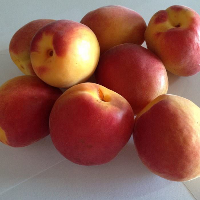 alyanak (al) kayısı