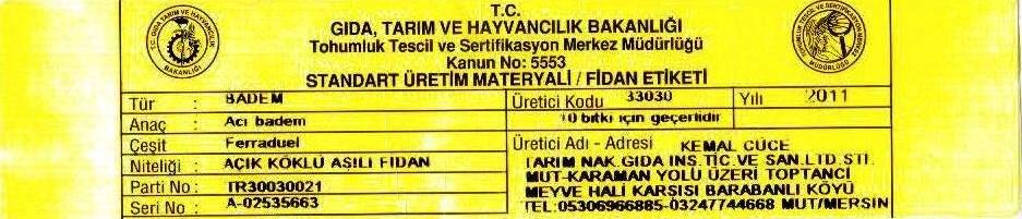 açıkkökferraduelbademsertifikası