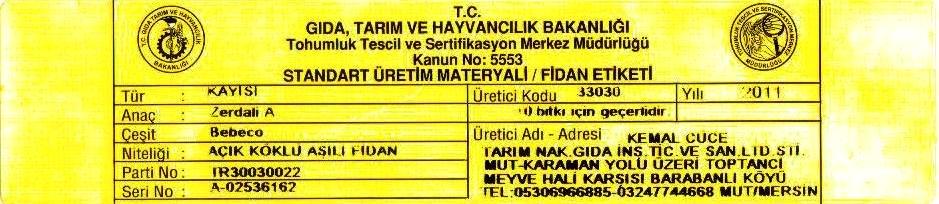 bebecokayısıfidanısertifikası