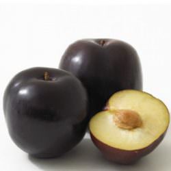 black amber japon eriği