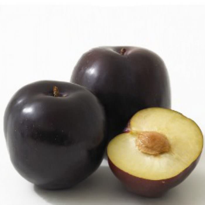 black amber japon eriği