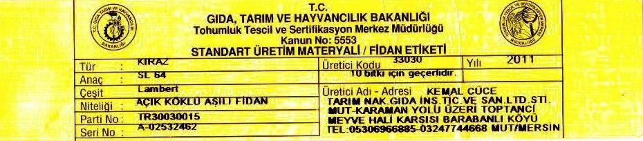 bodurlamberkirazfidanısertifikası