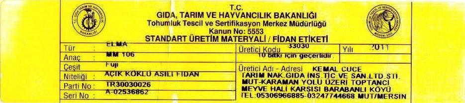 fujielmasertifikası