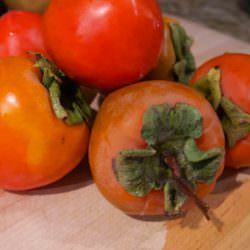 hachia trabzon hurması