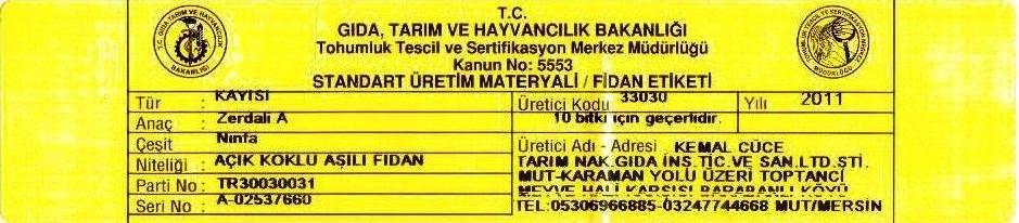 ninfakayısısertifikası