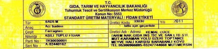 tyüplüferragnesbademfidanısertifikası