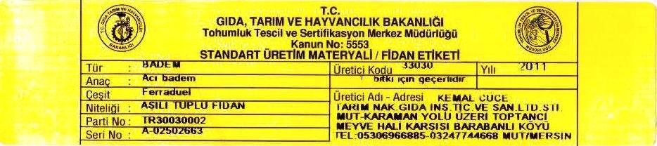tüplüferraduelbademsertifikası