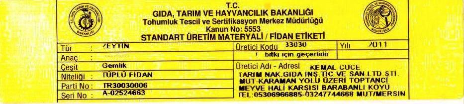 tüplügemlikzeytinfidanısertifikası